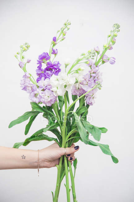 Female hand holding bunch of fresh purple flowers — Stock Photo