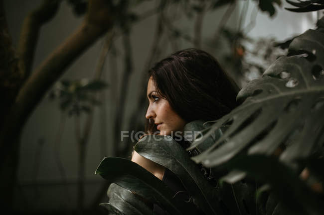 Brunette femme posant dans les feuilles vertes — Photo de stock