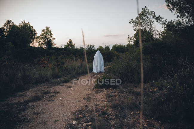 Vue arrière de la personne enveloppée dans un drap marchant sur une route rurale — Photo de stock