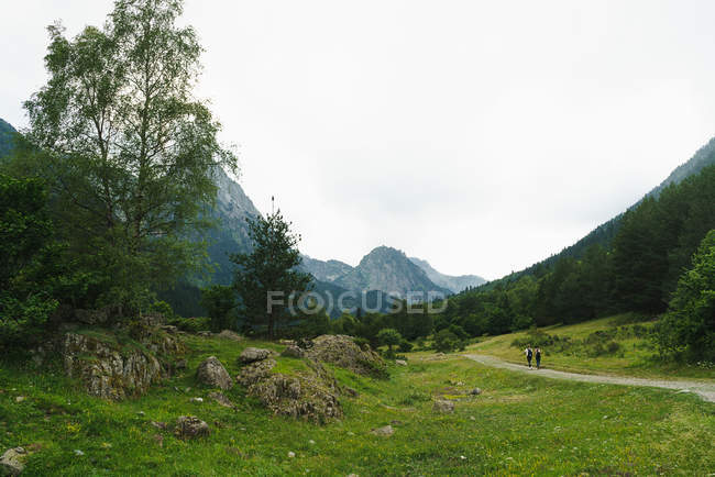Vallée de montagne avec touristes marchant sur la route rurale — Photo de stock