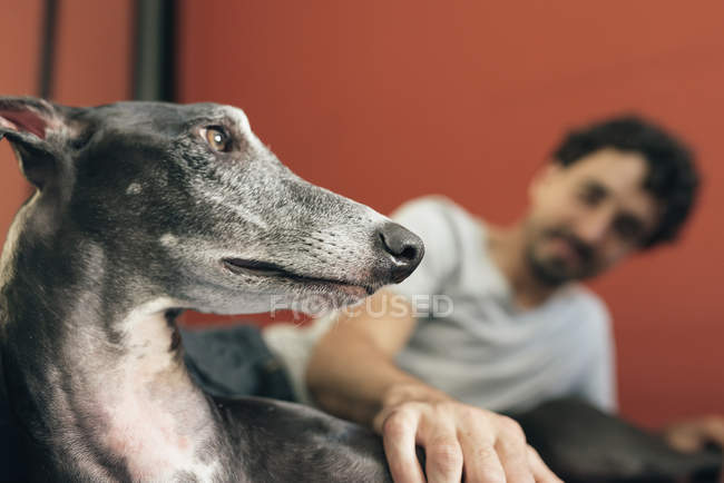 Homme avec chien sur l'entraîneur à la maison — Photo de stock
