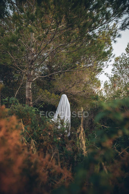 Persona avvolta in una coperta in posa in campagna — Foto stock