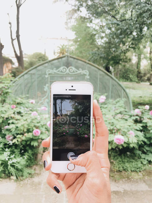 Toma de mano femenina de invernadero y flores con smartphone - foto de stock