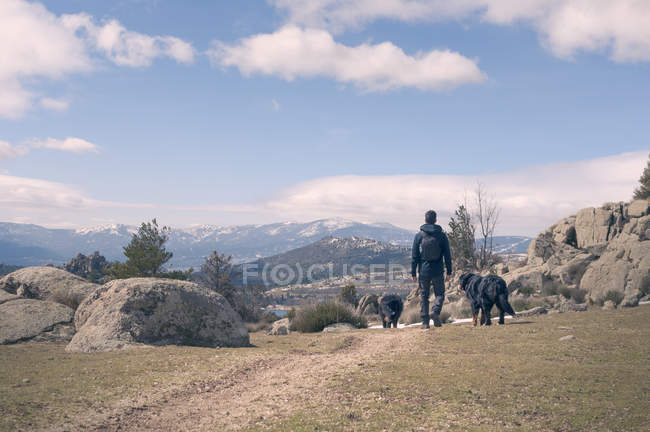 Вид сзади на человека, спускающегося с горы с собаками — стоковое фото
