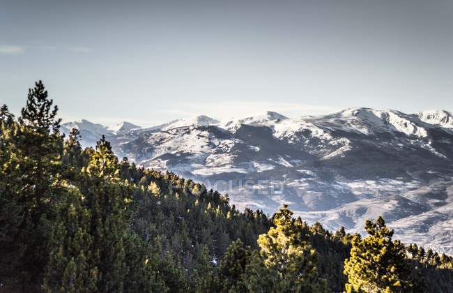 Immergrüne Wälder und schneebedeckte Berggipfel — Stockfoto