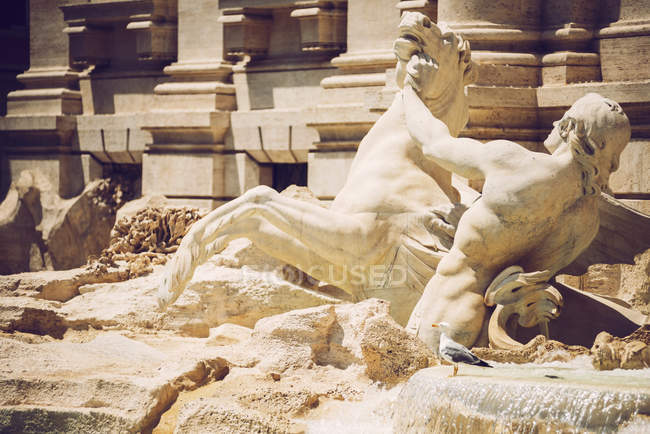 Mouette sur sculptures ornées de l'ensemble Fontana di Trevi — Photo de stock