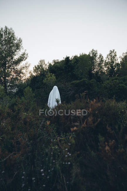 Rear view of ghost wandering at countryside — Stock Photo