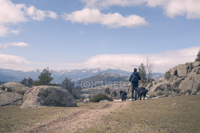 Людина позаду, що йде по горі з собаками в сонячний день — стокове фото