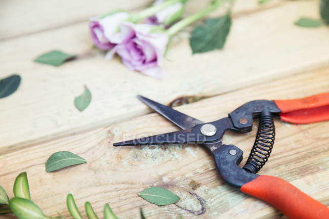 Садові ножиці на дерев'яному столі зі свіжими порізаними квітами та листям — стокове фото
