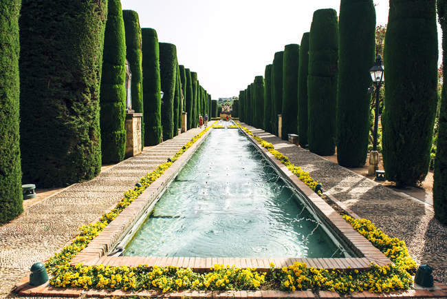 Parkallee mit Teich inmitten grüner Säulenbüsche — Stockfoto