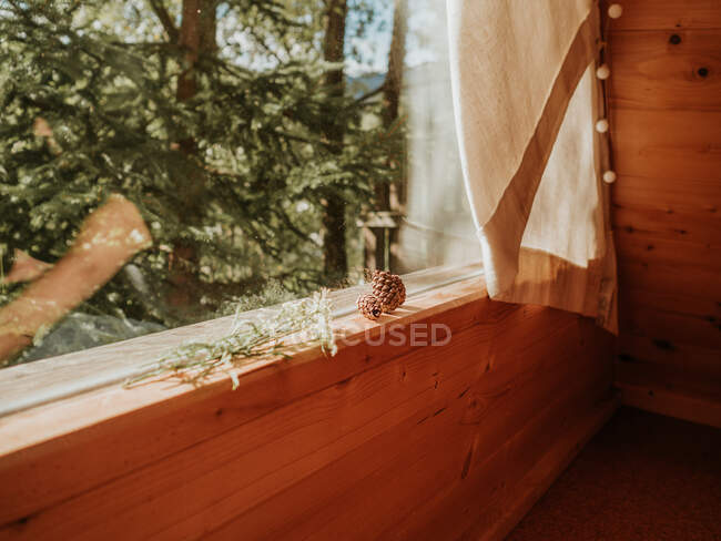 Coni di pino e fiori sul davanzale della finestra — Foto stock