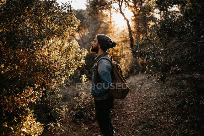 Бородач с рюкзаком смотрит на дерево в лесу — стоковое фото