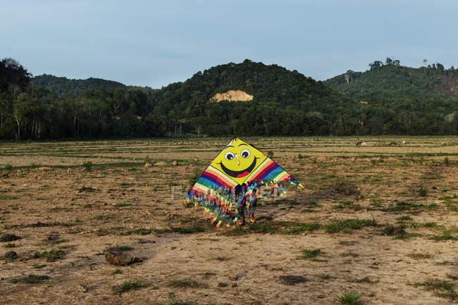 Vista frontal de la persona escondida detrás de una gran cometa colorida con la cara sonriente en el campo sobre montañas verdes en el fondo . - foto de stock