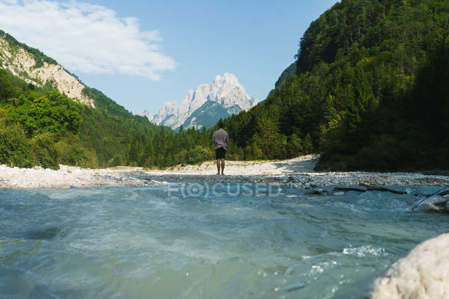 Visão traseira do homem posando sobre a natureza — Fotografia de Stock