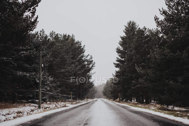 Strada asfaltata invernale vuota nella giornata nuvolosa — Foto stock