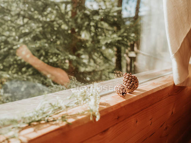 Cônes de pin et fleurs sur le rebord de la fenêtre — Photo de stock