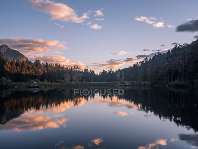 Forest reflecting in lake — Stock Photo