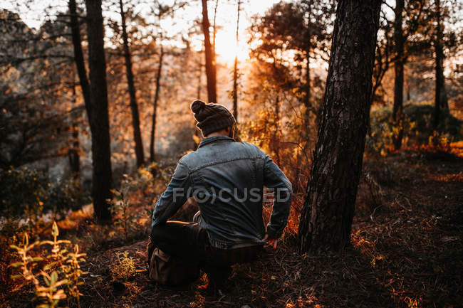 Vista posteriore dell'uomo seduto vicino all'albero nei boschi illuminati dal sole — Foto stock