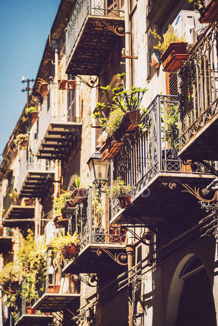 Fachada do edifício iluminado pelo sol com plantas em vasos em varandas — Fotografia de Stock