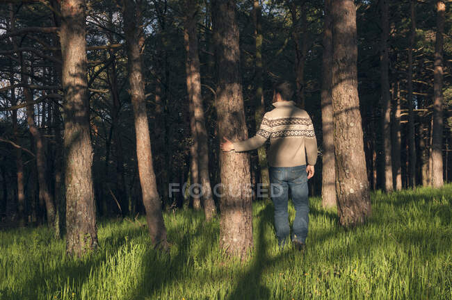 Joven en el bosque disfrutando de una tarde soleada - foto de stock