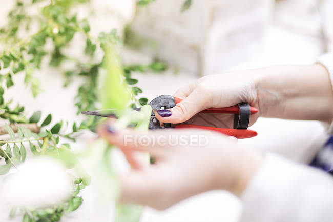 Primer plano de florista femenina haciendo ramo con tijeras - foto de stock