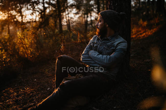 Hombre barbudo sentado en el suelo por el árbol en el bosque de otoño - foto de stock