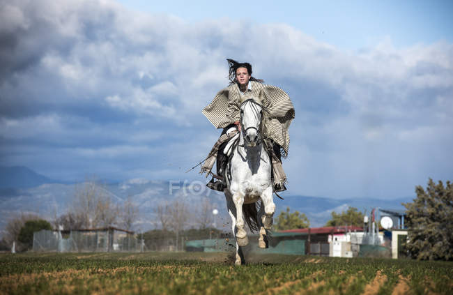 Vorderansicht des galoppierenden Pferdes mit Frau auf dem Rücken auf dem Land Feld. — Stockfoto
