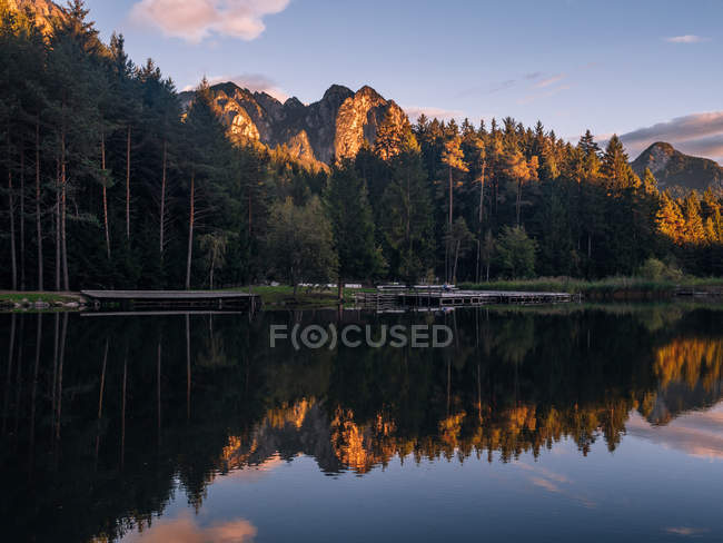 Foresta che riflette nel lago — Foto stock