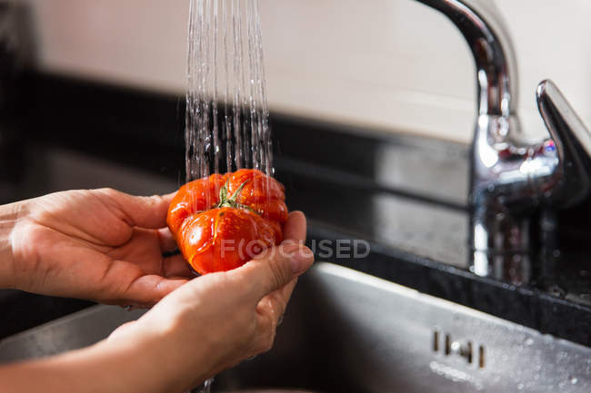 Cocinar lavando tomate fresco - foto de stock