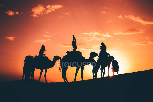 Silhouetten einer Karawane gegen den Sonnenuntergang in der Wüste. — Stockfoto