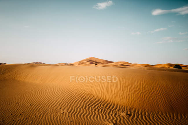 Desert landscape of rippled dunes on cloudless day — Stock Photo