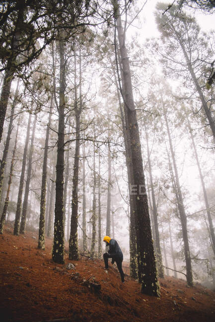 Un uomo che sale in una foresta nebbiosa, vista laterale. — Foto stock