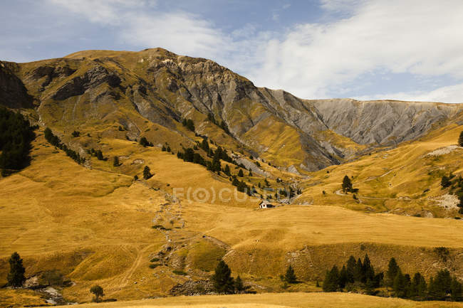 Montanhas cobertas de grama e árvores — Fotografia de Stock