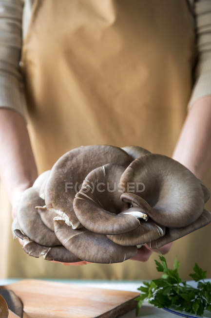 Vista de cerca de las manos femeninas sosteniendo hongos pleurotus sobre la mesa de la cocina con tablero e ingredientes - foto de stock