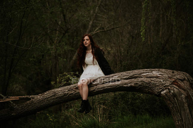 Ragazza zenzero in posa sulla piegatura sopra ramo albero terra e guardando la fotocamera — Foto stock