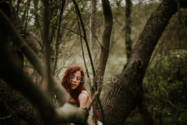 Chica jengibre sensual posando en ramas desnudas - foto de stock