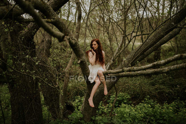 Sensual girl posing on bending over ground tree branch — Stock Photo