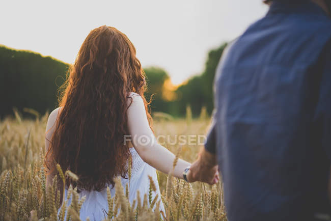 Back view of girl with curly red hair holding boyfriends hand and walking in rye field — Stock Photo