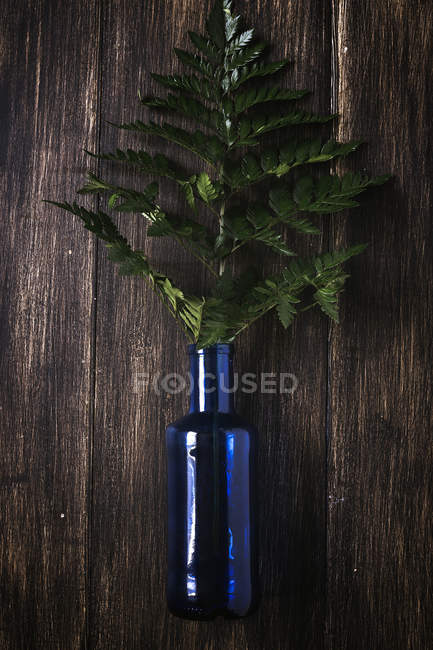 Sopra vista di bottiglia di vetro blu con foglie di felce sdraiato sul tavolo di legno — Foto stock