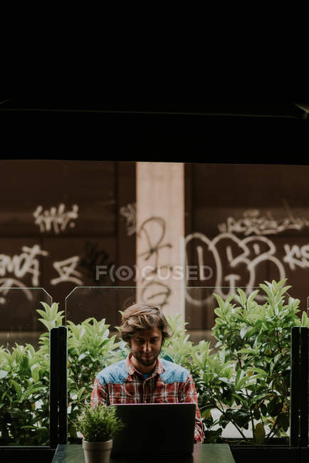 Vista frontale di uomo barbuto seduto al tavolo terrazza caffè con pianta in vaso e utilizzando il computer portatile — Foto stock