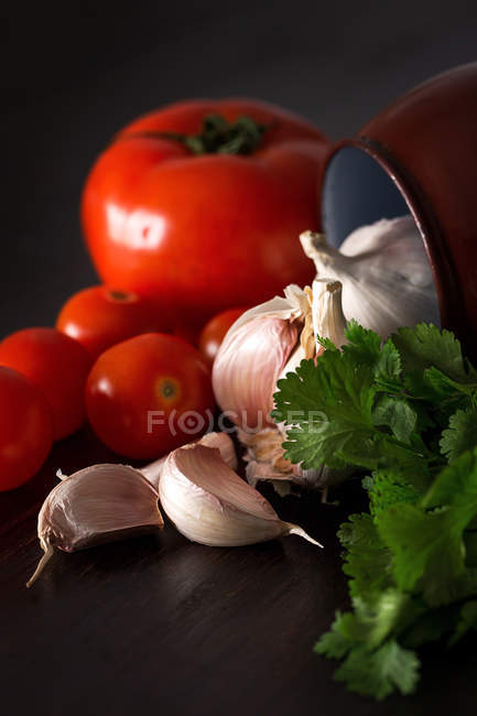 Fresh garlic cloves with fresh tomatoes and parsley on dark background with jar — Stock Photo