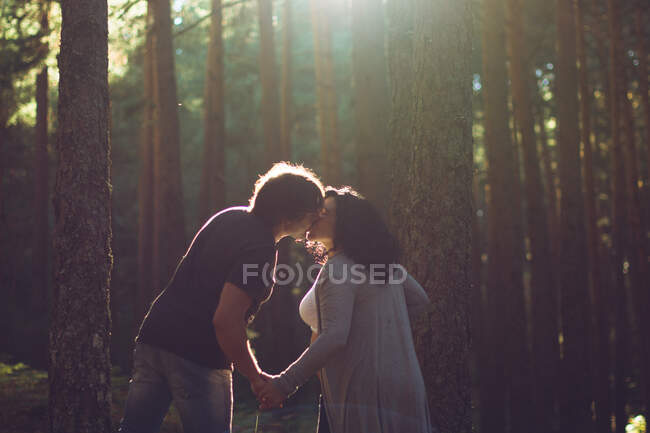 Мужчина целует беременную женщину в солнечном лесу. Горизонтальный выстрел. — стоковое фото