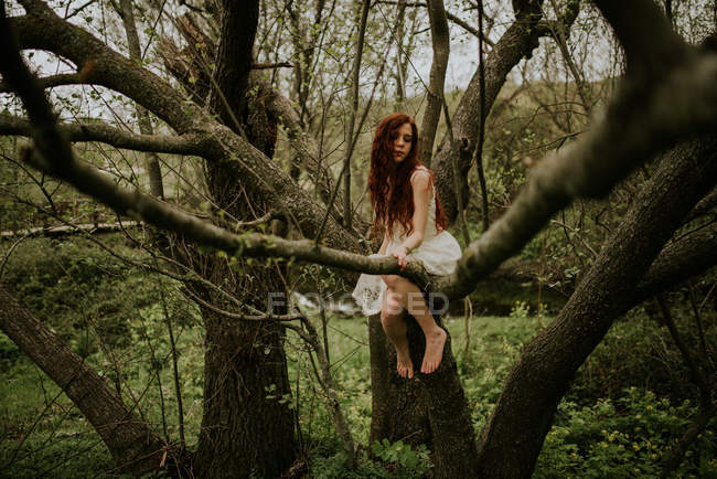 Ginger girl posing on bending over ground tree branch — Stock Photo