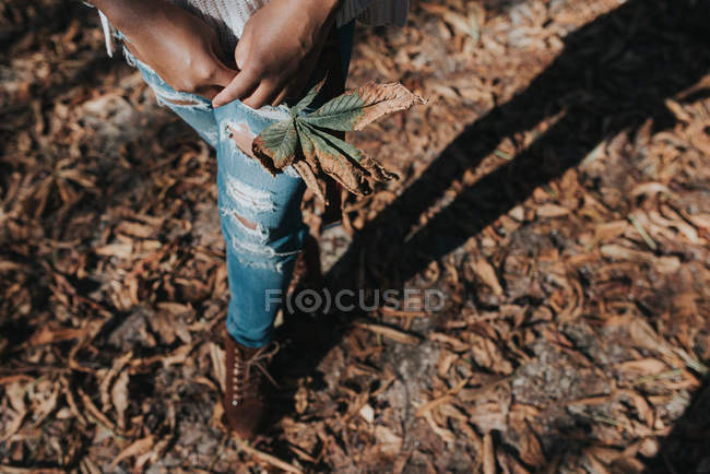 Blick nach unten auf eine Frau, die im Park steht und Kastanienblatt in Händen hält — Stockfoto