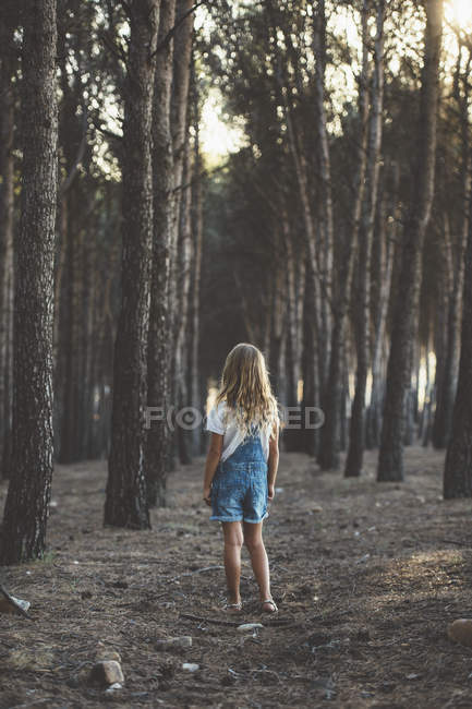 Rückansicht des blonden Mädchens, das im Wald posiert — Stockfoto