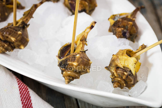Close-up de caracóis prontos para comer em cubos de gelo — Fotografia de Stock
