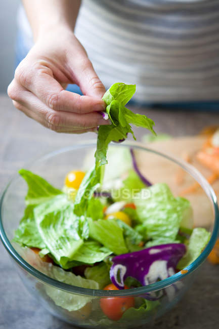 Mão de colheita adicionando folhas frescas à salada — Fotografia de Stock