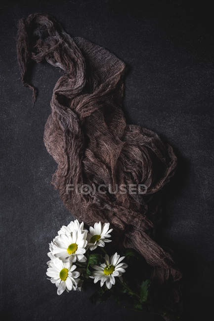 Blumenmuster mit Kamillenblüten und braunem Blickstoff auf dunkler Oberfläche — Stockfoto