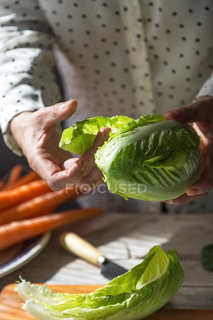 Crop image of hands tearing napa cabbage leaves over wooden board on table — Stock Photo
