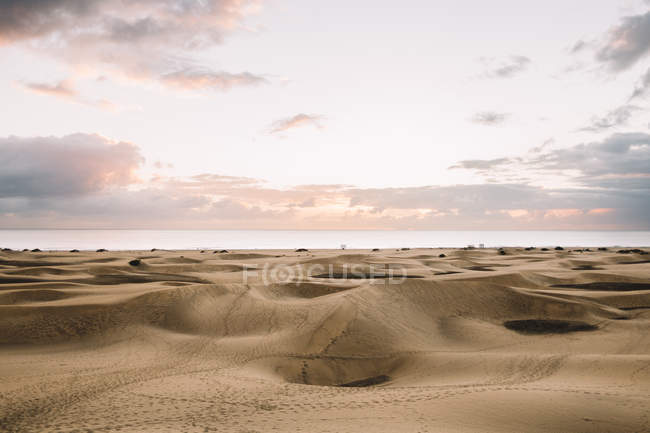 Paisaje de dunas en el desierto - foto de stock